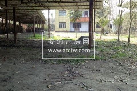 独院出租共2000平 带加工房 住房停车区等