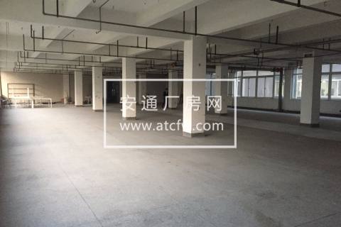 西湖科技园 不拆迁 600方厂房 淘宝电商 带货梯