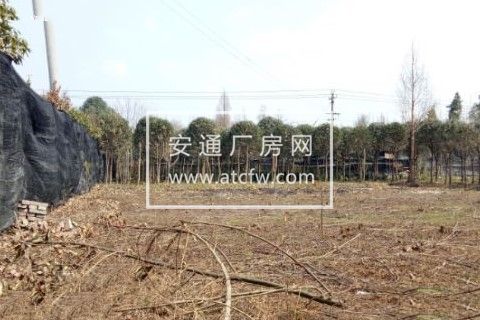 独院出租共2000平 带加工房 住房停车区等