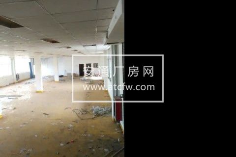 宝山广福 宝安公路标准厂房一楼带院