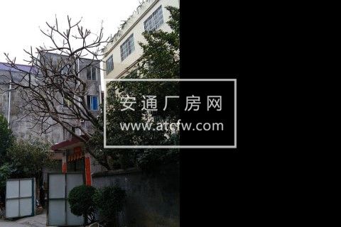 番禺南村7号线地铁站省妇幼医院周边630平方全栋出租