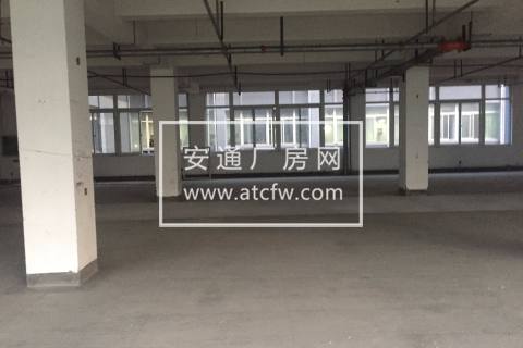 西湖科技园 不拆迁 600方厂房 淘宝电商 带货梯