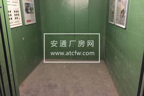 西湖科技园 不拆迁 600方厂房 淘宝电商 带货梯