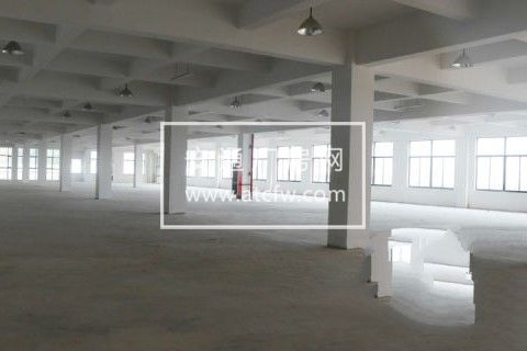 上海松江区全新厂房办公楼出租