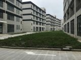 松江科技园104地块 整栋4000平厂房出租 有食堂