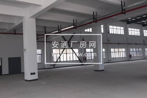 (单层出售)松江单层厂房 1800平带牛腿 可生产可仓库 104工业地块