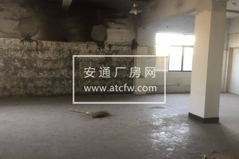 仓前 标准厂房 450方 17米车可进出 随时看房