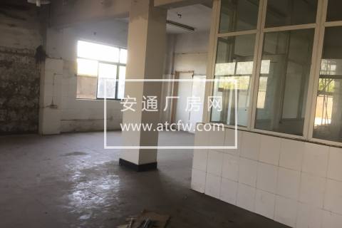 仓前 标准厂房 450方 17米车可进出 随时看房