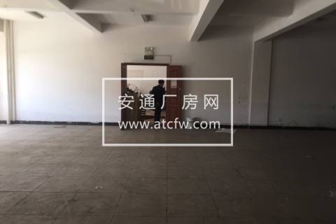 仓前 标准厂房 450方 17米车可进出 随时看房