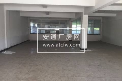 仓前 标准厂房 450方 17米车可进出 随时看房