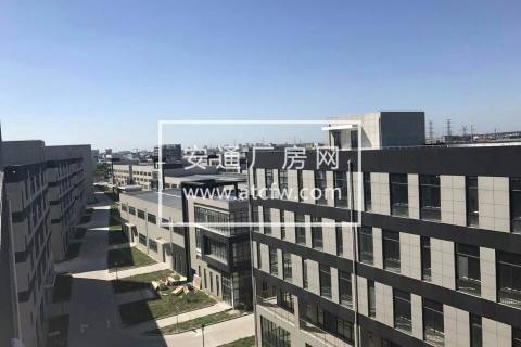 松江科技园可环评104地块 800平厂房出租 