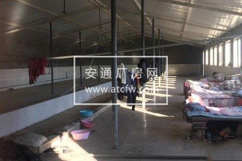 赛罕区西黄合少村1500方厂房出租