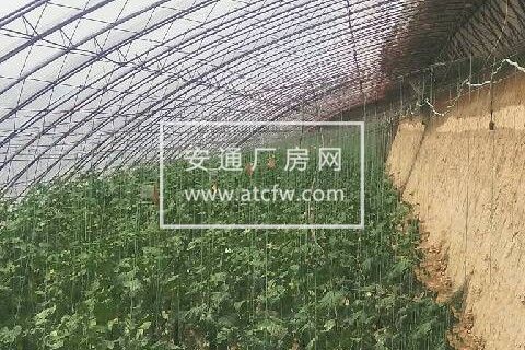 蔬菜大棚 1700平米