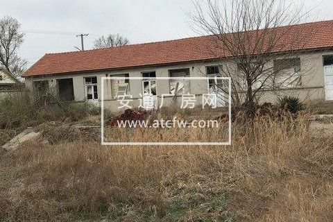 高疃 西宋洲村 厂房 1200平米