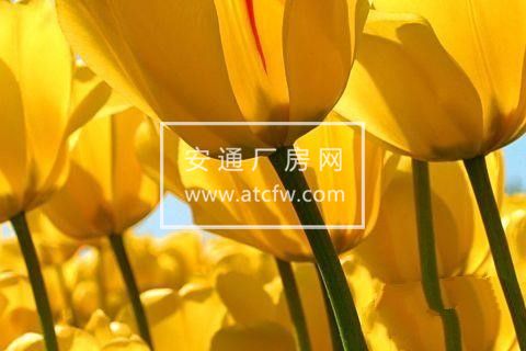 出租莱山曹家庄驾校北200米路东门头房