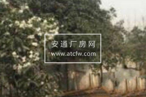 双流区天府新区二绕出口附近1300平米厂房出租