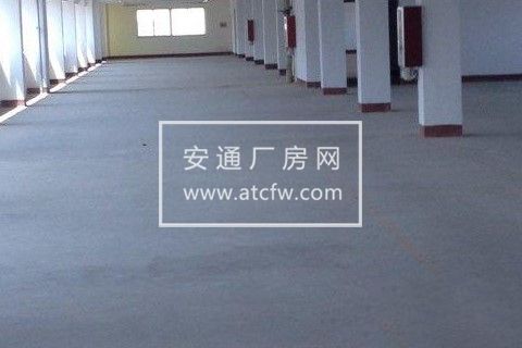 烟台北京中路50号临近富士康7000方厂房出租 