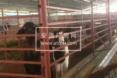 东湖乡高槐村5组厂房750平米