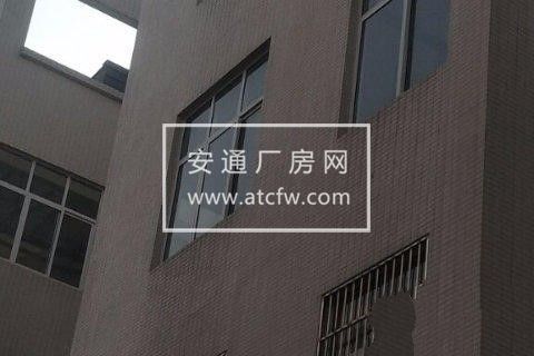 出租成都周边彭州华茂服装城厂房