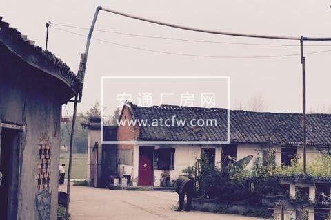 羊安镇界牌村 仓库 3500平米求租