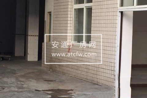 天彭大道279号厂房仓库800平米