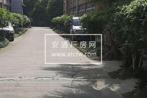 高品质花园式厂房出租