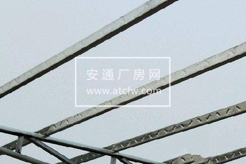 大辛庄街道 临莘路姜庄村北头 厂房 1500平米