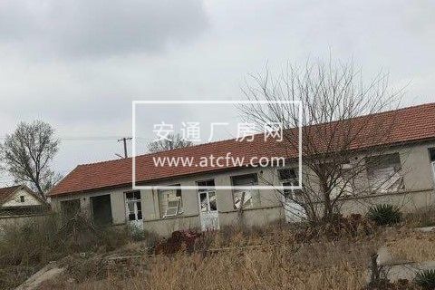 高疃 西宋洲村 厂房 1200平米