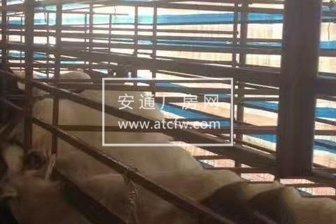 东湖乡高槐村5组厂房750平米