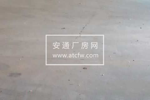 独门独院，大面积厂房出租