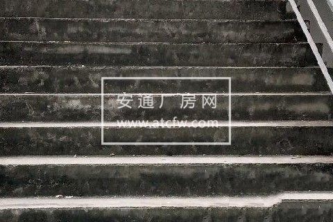 天回镇银杏苑社区 厂房 600平米