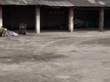 出租郫县团结厂房库房2600平方米