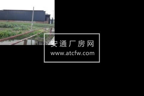 新津区成新蒲新津安西段1400方厂房出租