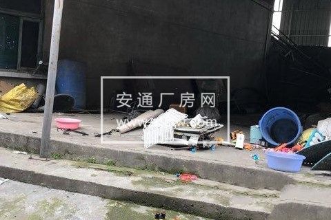 清水镇 厂房 1300平米