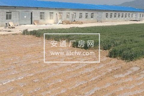 莱山区朱塂堡村北1200方厂房出租