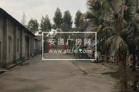 双流区地临成新蒲大道和双楠大道20000方厂房出租