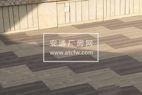 出租成都周边彭州华茂服装城厂房