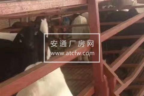 东湖乡高槐村5组厂房750平米