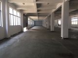 仓前工业园 一楼 1350方厂房出租 各行各业 随时看房