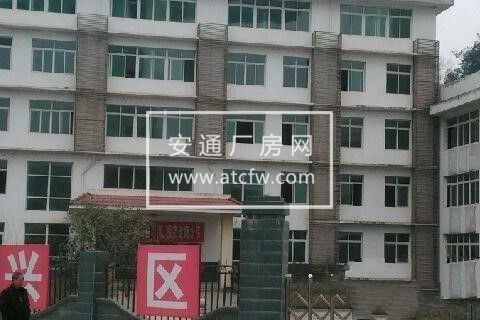 原剑阁妇幼保健院招租