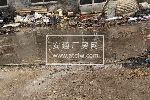 莱山区宋家庄村东 厂房 出售面积大场地空旷