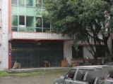 甘江镇滨河桥头 厂房 20000平米