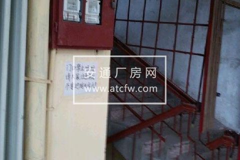 通海路 仓库 140平米