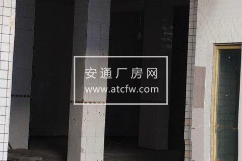 天彭大道279号厂房仓库800平米