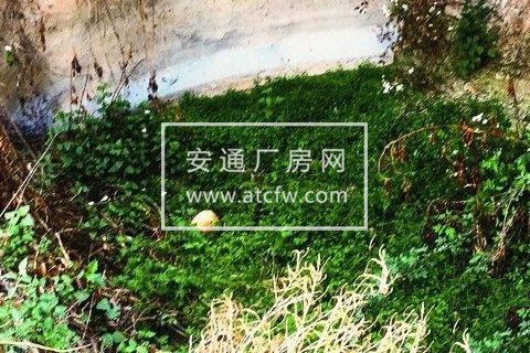 永丰湖千亩荷园 厂房 3000平米