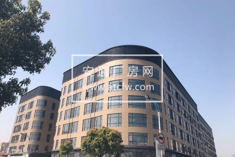 松江新桥办公  研发 网络科技等办公楼出租 70平起