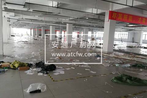 萧山钱江世纪城和开发区中间地段靠近未来科技城3000方厂房出租