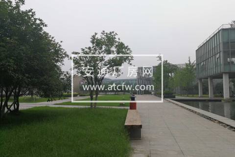 萧山钱江世纪城和开发区中间地段靠近未来科技城3000方厂房出租