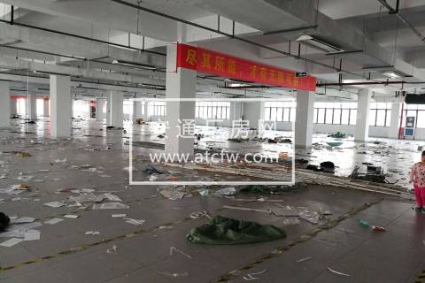 萧山钱江世纪城和开发区中间地段靠近未来科技城3000方厂房出租