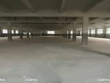 余杭区中泰镇石鸽工业园区1300方厂房出租
